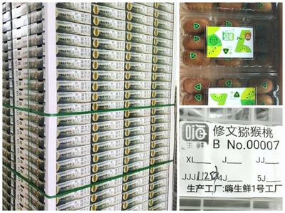 “嗨生鲜”修文猕猴桃 优选山地小种，以卓越品质与仓储服务引领销量